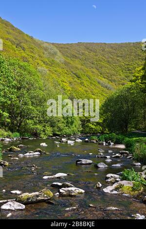 Ein Blick auf den Frühling entlang des East Lyn River im Exmoor-Nationalpark in Nord-Devon, England, Großbritannien, Teil des Coleridge Way National Trail Stockfoto