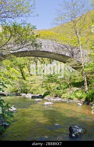 Ein Blick auf den Frühling entlang des East Lyn River im Exmoor-Nationalpark in Nord-Devon, England, Großbritannien, Teil des Coleridge Way National Trail Stockfoto