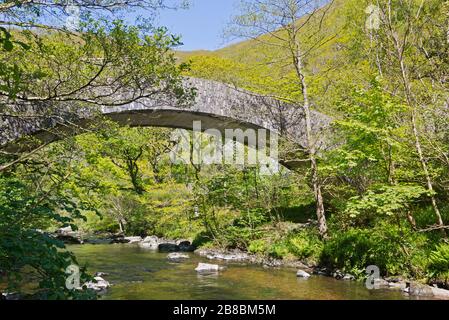 Ein Blick auf den Frühling entlang des East Lyn River im Exmoor-Nationalpark in Nord-Devon, England, Großbritannien, Teil des Coleridge Way National Trail Stockfoto