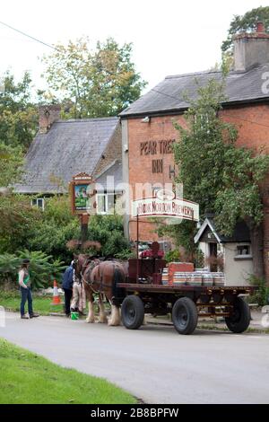 Brauereipferde liefern auch Bier vom Peartree Inn Hook Norton Stockfoto