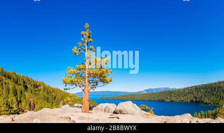 Panoramablick auf einen Lone Tree in der Nähe der Emerald Bay am Lake Tahoe, Kalifornien, USA Stockfoto