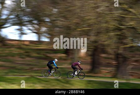 Radfahrer im Richmond Park am zweiten Tag des Astronomischen Frühlings, der am Tag der Frühlings-Equinox begann. Stockfoto