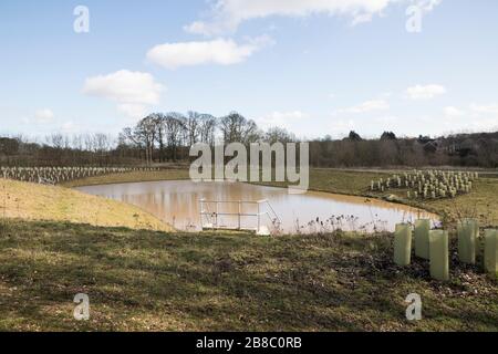 Waterside Country Park, Bishops Stortford Stockfoto