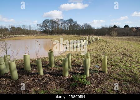 Waterside Country Park, Bishops Stortford Stockfoto