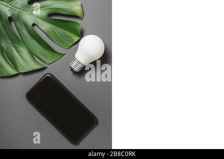 Kreativität Inspiration, Ideenkonzepte mit Glühbirne, Grünblättriger Monstera und modernem Smartphone mit Kopierraum auf grauem und weißem Hintergrund minimal Stockfoto