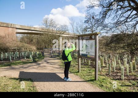 Waterside Country Park, Bishops Stortford Stockfoto