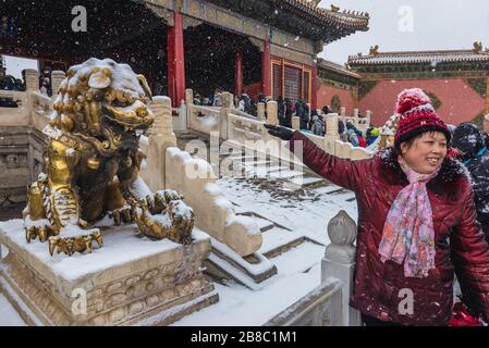 Vergoldete chinesische Löwenskulpturen vor dem Tor der himmlischen Reinheit im Forbidden City Palace Complex im Zentrum Pekings, China Stockfoto