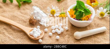 Homöopathie. Kräuterextrakte in kleinen Flaschen. Selektive konzentrieren. Natur. Stockfoto