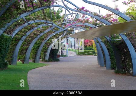 Blick auf die Grand Arbour Struktur in den South Bank Parklands in Brisbane, ohne zu Fuß zu gehen Stockfoto