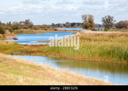 Romantische und natürliche Flusslandschaft im Spätsommer, Biosphärenreservat Niedersächsische Elbtalaue, Norddeutschland. Romantisches und naturkundliches Flus Stockfoto