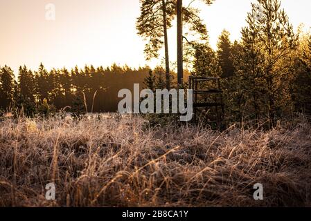 Jäger-Jagdturm versteckt in der Sonne an einem frühen, kühlen Frühlingmorgen in einem Nadelwald und Mutternatur hat ihren weißen Frostschleier bedeckt Stockfoto