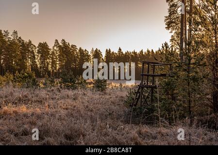 Jäger-Jagdturm versteckt in der Sonne an einem frühen, kühlen Frühlingmorgen in einem Nadelwald und Mutternatur hat ihren weißen Frostschleier bedeckt Stockfoto