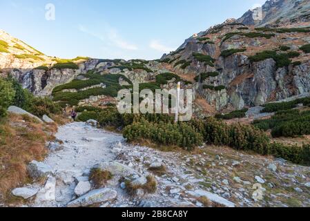 Herbstmorgen im Tal der Dolina Mlynicka in der Nähe des Wodopad-Skok-Wasserfalls in der Slowakei mit Wanderweg, Wodopad-Skok-Wasserfall und klarem Himmel Stockfoto