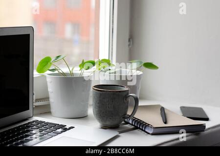 Remote-Arbeit mit einem Arbeitsplatz neben dem Fenster mit Laptop, Pflanzen, Mobiltelefon, Tasse Kaffee, Notebook und Stift auf dem Tisch Stockfoto