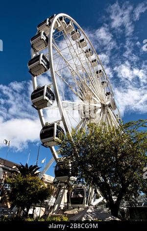 Das sich drehende Auge Kapstadts, das Cape Wheel im Quay's District der V&A Waterfront. Die Legende auf der Nabe lautet: Cape Wheel Turn for good Stockfoto