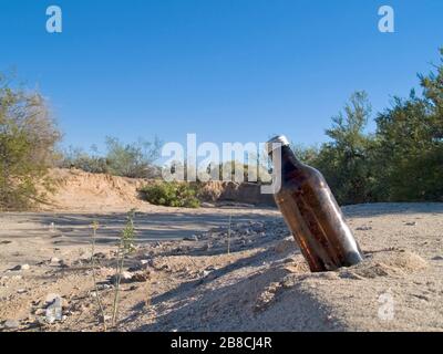 Eine Bierflasche, die auf einer Sanddüne in einem trockenen Bachbett in einem abgelegenen Gebiet von Arizona zurückgelassen wurde. Stockfoto