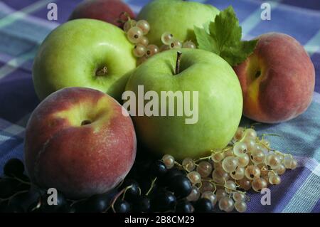 Stillleben mit Äpfeln, Pfirsichen und Johannisbeeren Stockfoto