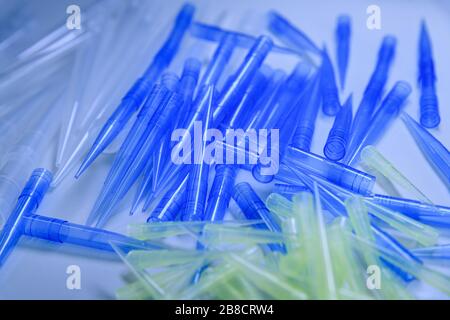 Blaue und gelbe universelle Laborpipettenspitzen. Labor- und Wissenschaftsmaterialkonzept. Stockfoto