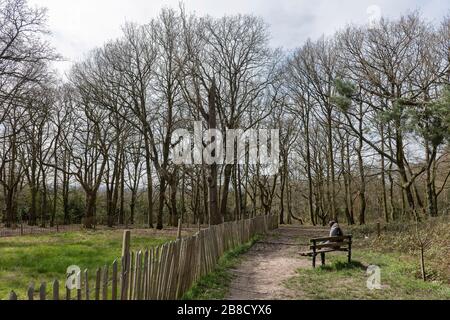 Streatham, London, Großbritannien. März 2020. Das tägliche Leben in Streatham Common inmitten der Coronavirus Pandemie in South London, England. Gutschrift: Sam Mellish / Alamy Live News Stockfoto