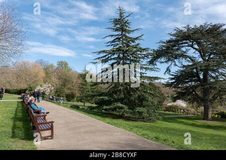 Streatham, London, Großbritannien. März 2020. Das tägliche Leben in Streatham Common inmitten der Coronavirus Pandemie in South London, England. Gutschrift: Sam Mellish / Alamy Live News Stockfoto