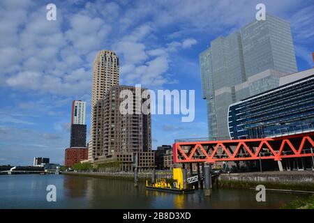 Blick vom Rijnhaven am Anfang von Kop van Zuid - Wilhelminapier in Rotterdam mit kontrastierenden Farben verschiedener moderner Gebäude Stockfoto