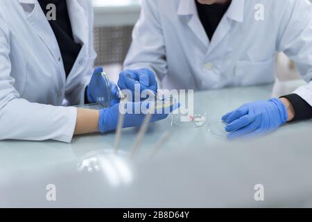 Eine Gruppe von Wissenschaftlern forschen in einem wissenschaftlichen Labor mit fortschrittlicher Technologie. COVID-19. COVID Coronavirus Stockfoto