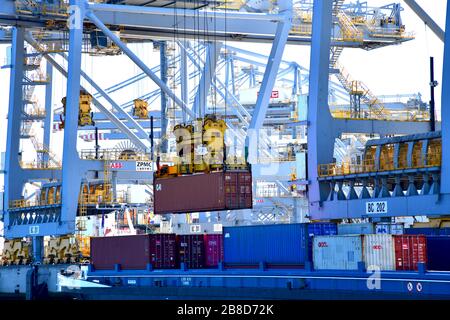 Rotterdam, Niederlande - August 2019; Bild füllender Blick auf den inneren Aufbau mit Balken und Auslegern zahlreicher Portalkräne, die Container i bewegen Stockfoto