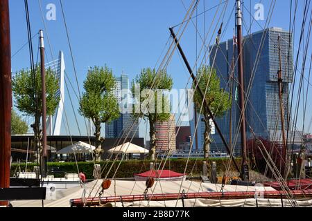 Ikonische moderne Gebäude und erasmusbrug in Rotterdam, die durch den Mast und die Seile historischer Boote im Veerhaven eingefasst sind Stockfoto