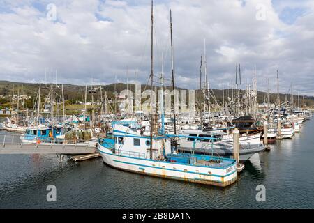 Fischerboote in Pillar Point Harbor, Half Moon Bay, Kalifornien, USA Stockfoto