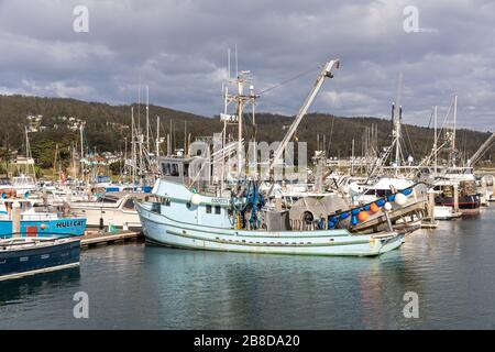 Fischerboote in Pillar Point Harbor, Half Moon Bay, Kalifornien, USA Stockfoto