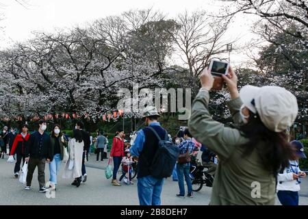 Tokio, Japan. März 2020. Die Menschen versammeln sich, um die Kirschblüten im Ueno Park zu sehen. Schilder, die auf traditionelle Hanami-Trinkfeiern verzichten sollen, werden im Ueno-Park in Tokio, einem der beliebtesten Hanami-Orte inmitten der neuen Coronavirus-COVID-19-Pandemie, ausgestellt. Credit: Rodrigo Reyes Marin/ZUMA Wire/Alamy Live News Stockfoto