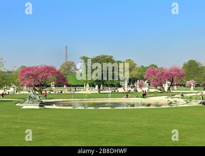 PARIS, FRANKREICH, APRIL 2017 - Jardin des Tuileries, die blühende Kirsche in den Tuileriengärten. Stockfoto