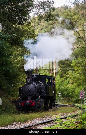 Dampfmaschine Stockfoto