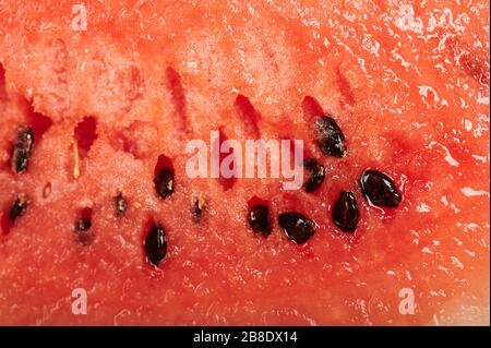 Seeds of Watermelon on Red Fresh Juicy Fruit Makroansicht Stockfoto