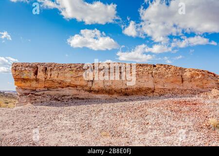 Bemalte Wüste und versteinerte Holz im Petrified Forest National Park in Arizona Stockfoto