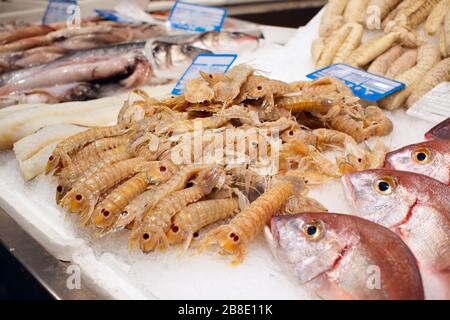 Mantis Garnelen und Fisch auf dem Markt, Nahaufnahme Stockfoto