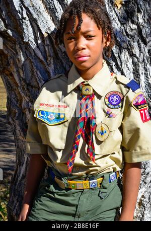 Netter Junge afroamerikanischer Junge mit Zöpfen posiert gegen Baum, der seine Boy Scouts of America Uniform in Tucson, AZ, USA trägt Stockfoto