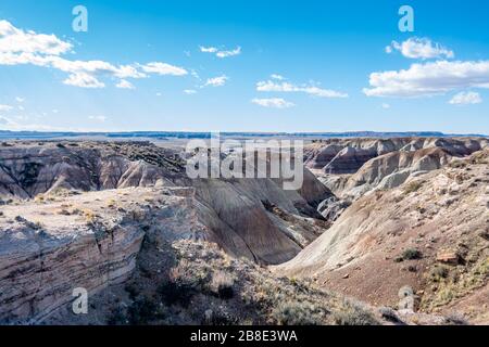 Bemalte Wüste und versteinerte Holz im Petrified Forest National Park in Arizona Stockfoto