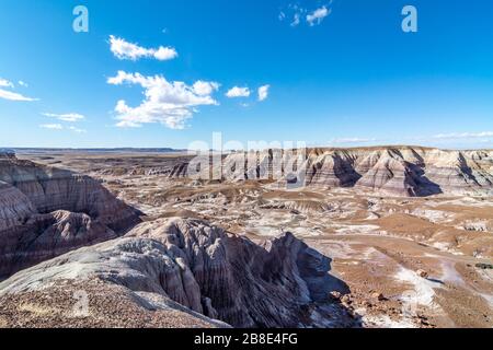 Bemalte Wüste und versteinerte Holz im Petrified Forest National Park in Arizona Stockfoto