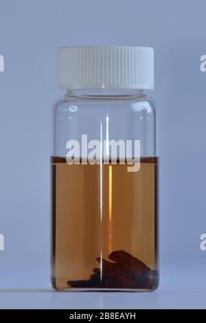 Farbe von Methanol extrahierten Spittern gefährdeter Dalbergia-Baumarten, Dalbergia-Sissoo nordindisches Rosewood, CITES Anhang II Stockfoto