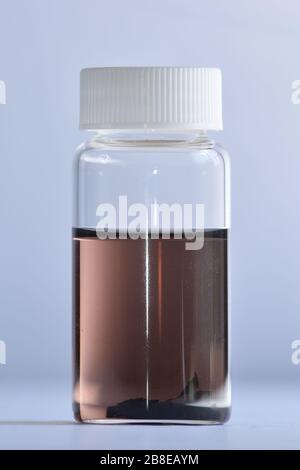 Farbe der Methanol extrahierten Splitter gefährdeter Dalbergia-Baumarten, Dalbergia-Melanoxylon Afrikanisches Blackwood, Ebony, Stockfoto