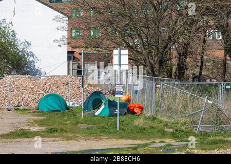 Southend-on-Sea, Großbritannien. März 2020. Vier Zelte, die von Obdachlosen auf einem nicht genutzten Parkplatz in Southend-on-Sea genutzt werden. Penelope Barritt/Alamy Live News Stockfoto