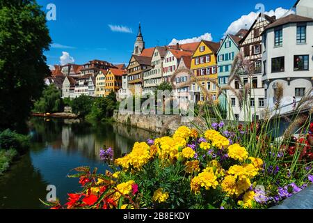 Blumen an der Neckarfront in Tübingen in Deutschland Stockfoto