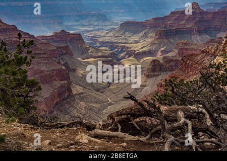 Blick vom Nordrand auf den Colorado River im Grand Canyon National Park Stockfoto