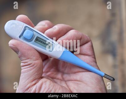 Die männliche Hand hält klinisches Thermometer mit Quarantänetext auf dem Bildschirm während der globalen Kovid-19- oder Corona-Pandemie Stockfoto