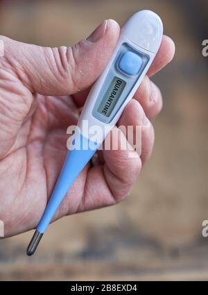 Die männliche Hand hält klinisches Thermometer mit Quarantänetext auf dem Bildschirm während der globalen Kovid-19- oder Corona-Pandemie Stockfoto