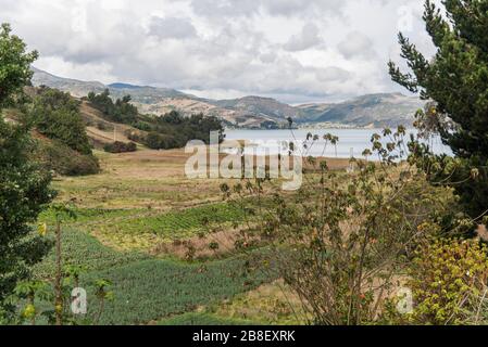 Aquitania, Boyaca/Kolumbien; 8. April 2018: Ländliche Andenlandschaft, Anbauflächen, hauptsächlich walisische Zwiebeln, Allium fistulosum, in der Nähe von Tota, der größten Stockfoto