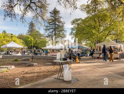 Davis, 21. März 2020. Davis Farmers Market eröffnet diesen Samstag inmitten der Virus-Pandemien von de Corona und bietet seinen Kunden eine Händesinfizierungsstation Stockfoto