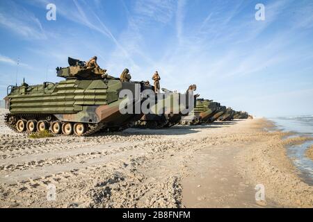 U.S. Marines with 3rd Platoon, Bravo Company, 2d Assault Amphibian Battalion inszenieren ihre Fahrzeuge, bevor sie eine Ship-to-Shore Veranstaltung im Camp Lejeune, North Carolina, 19. März 2020 durchführen. Die jährliche Ausbildungsanforderung diente der Aufrechterhaltung und Verbesserung der Einsatzbereitschaft und Leistungsfähigkeit der Einheit bei amphibischen Operationen. (USA Foto des Marine Corps von Lance CPL. Patrick King) Stockfoto