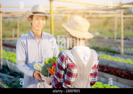 Schöne junge asiatische Frau und Mann, die frisches biologisches Gemüse mit Korb zusammen in der Hydroponikfarm, Ernte und Landwirtschaft und Kultivati halten Stockfoto